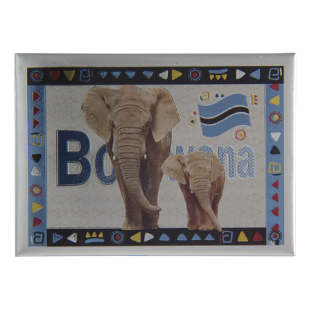 Tin Foil Magnets- Botswana 