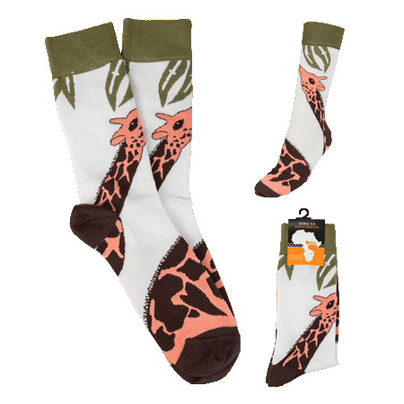 Giraffe-On White