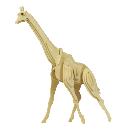 CON-Giraffe