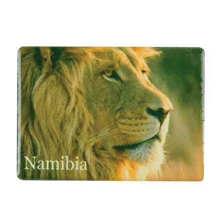 Namibia, Lion